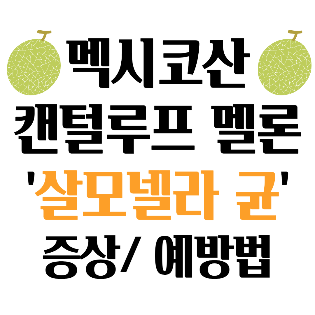 캔털루프 멜론
