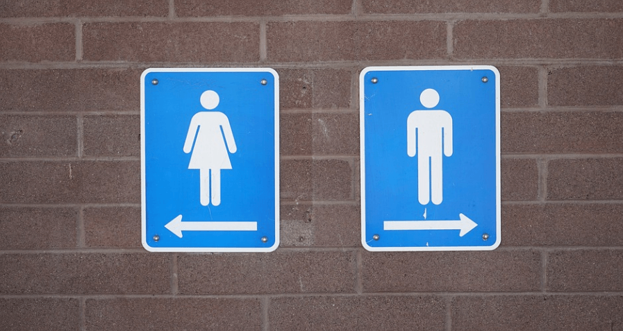 참외 효능에 참외 사진과 그 밖에 사진들 - 5