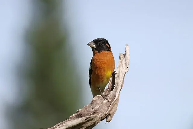 고등어 김치찜 황금레시피를 최신 알아보기 모음집_5