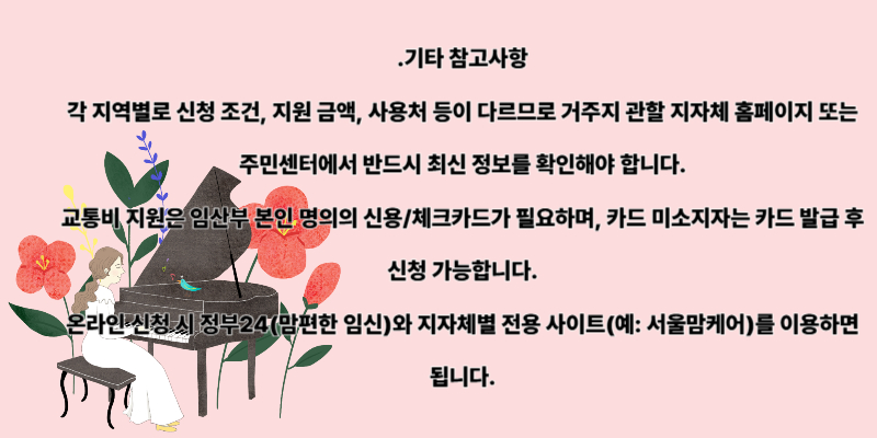 임산부 교통비 지원