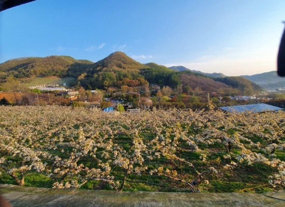 캠핑장 전경1