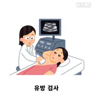 갱년기 증상