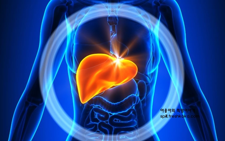 간수치가 높으면 나타나는 증상
