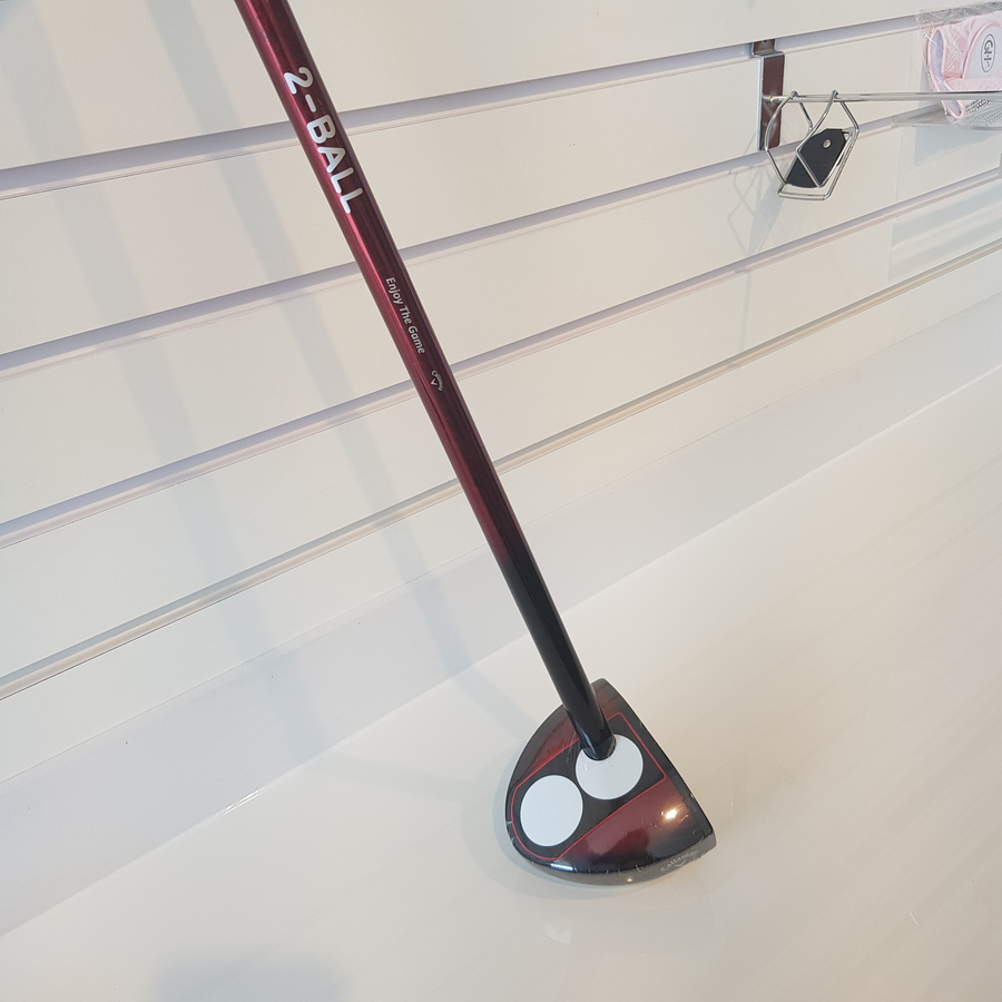 파크골프를 시작하는 준비물 (파크골프 준비물)