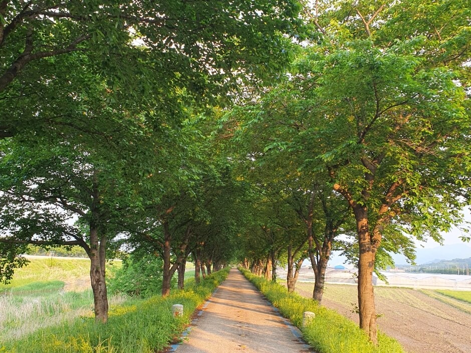 구례 가볼만한곳 베스트 10