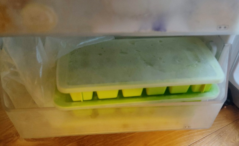 얼음틀을 이용하여 직접 얼음을 얼리던 시절