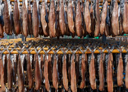 과메기 말리는 사진