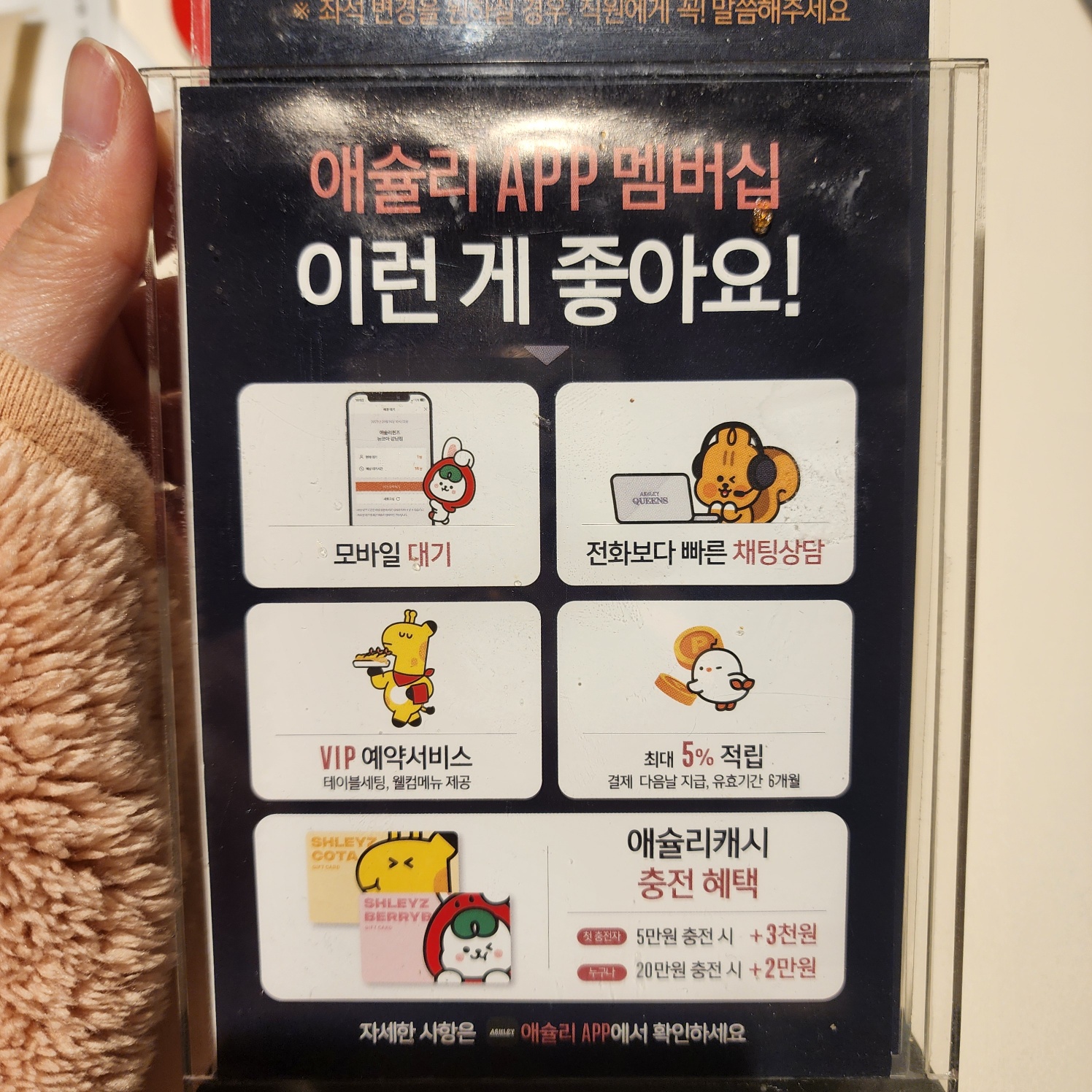 애슐리퀸즈99