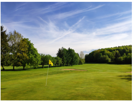 파크골프 기본자세 경기규칙