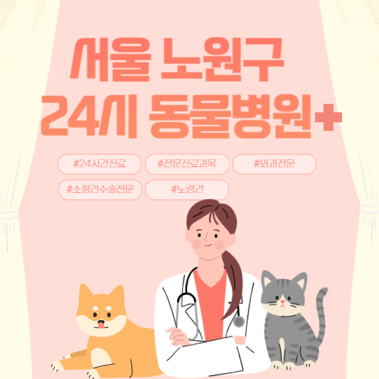 서울 노원구 24시 동물병원