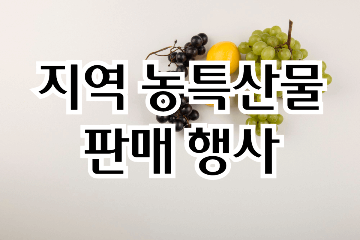 영천와인페스타, 영천와인축제, 영천와인, 영천축제, 경북축제, 대구축제, 대구근교축제, 대구근교 가볼만한곳, 경북 영천 가볼만한곳, 와인모임, 와인동호회, 와인 취미