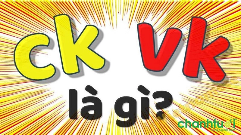ck와 vk는 무엇의 약자인가