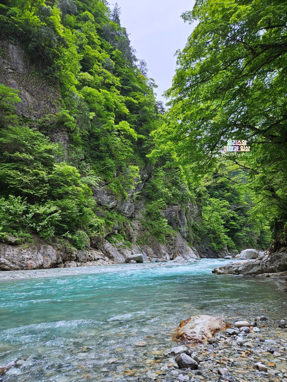 토롯코 구로베 협곡열차 가격 + 우나즈키 당일 온천 이용후기 도야마 자유여행