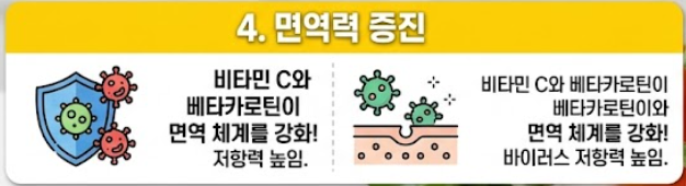 파프리카 효능