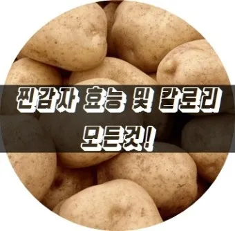 찐감자 효능 1개 칼로리 보관법 맛있게 먹는법_20