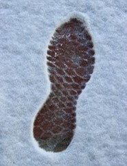 눈이-앃인-바닥에-발자국이-나있는-모습