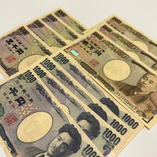 일본 여행 준비물 : 일본 여행 준비서류, 준비물 체크리스트