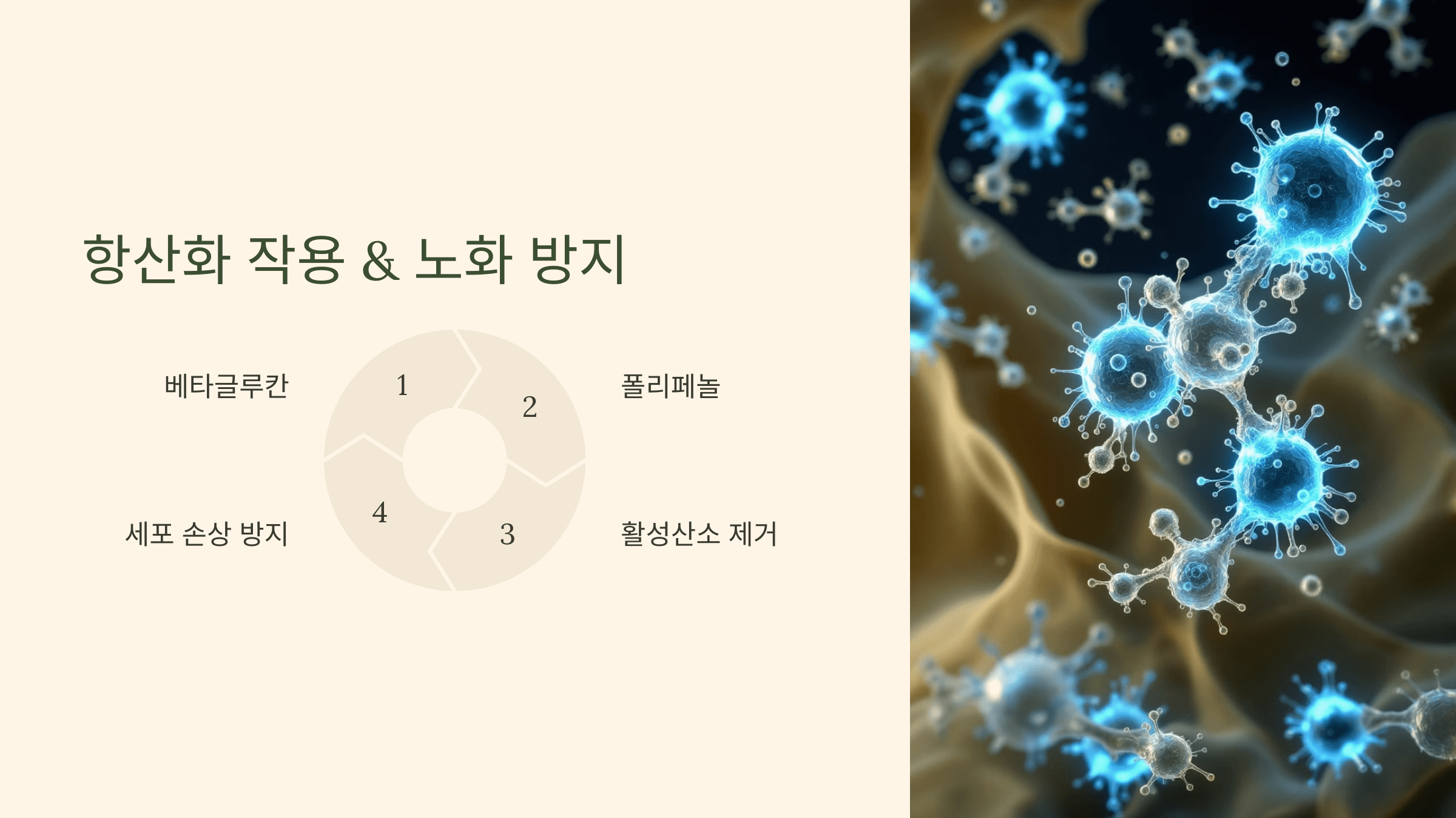 파로 효소와 관련된 사진입니다.