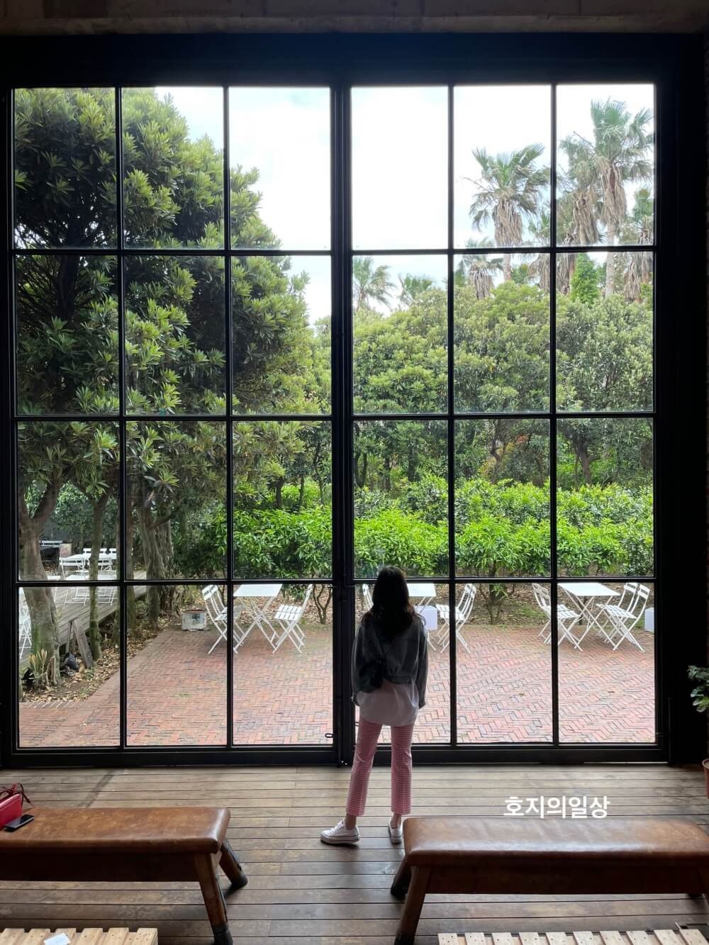 제주 테라로사 서귀포점 - 작년 정원뷰샷