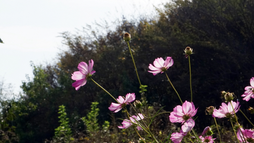 img.jpg?credential=yqXZFxpELC7KVnFOS48yl