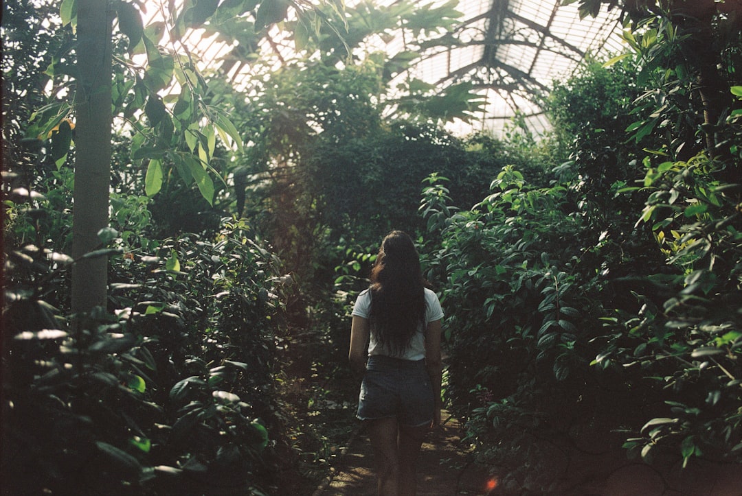 Secret Garden