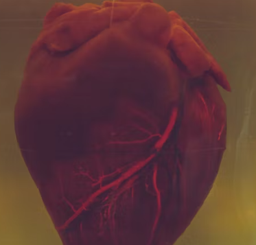 심근경색 전조증상 원인 예방법