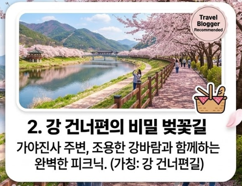 양산 벚꽃 명소