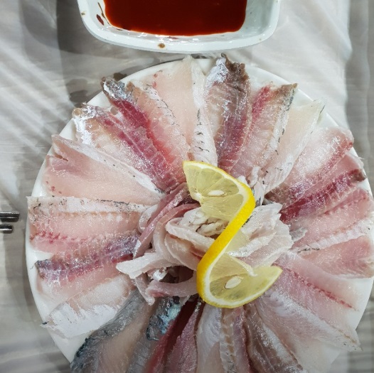 6시내고향-고성-갯장어-하모회-섬낚시횟집