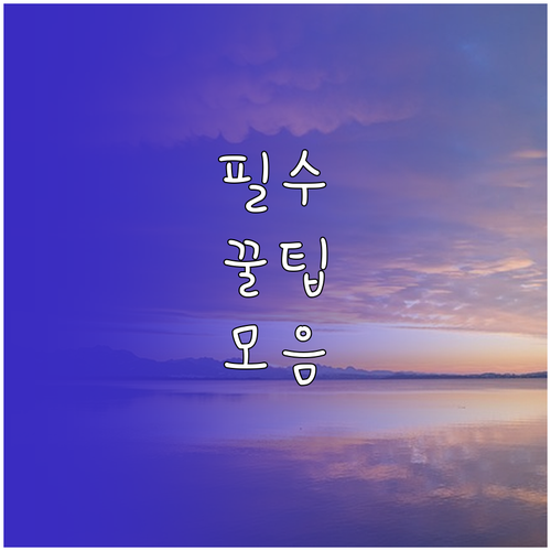 발리에서 놓치면 후회할 필수 경험 완..