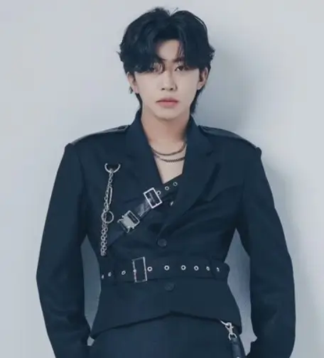 임영웅 팬클럽 '영웅시대