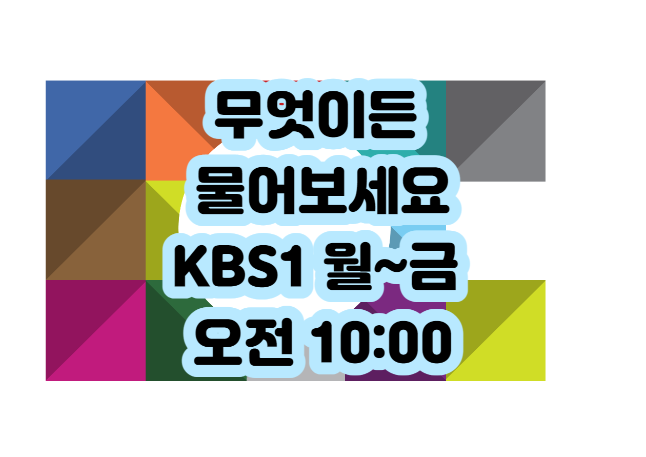 KBS1 무엇이든 물어보세요 월~금 오전 10:00