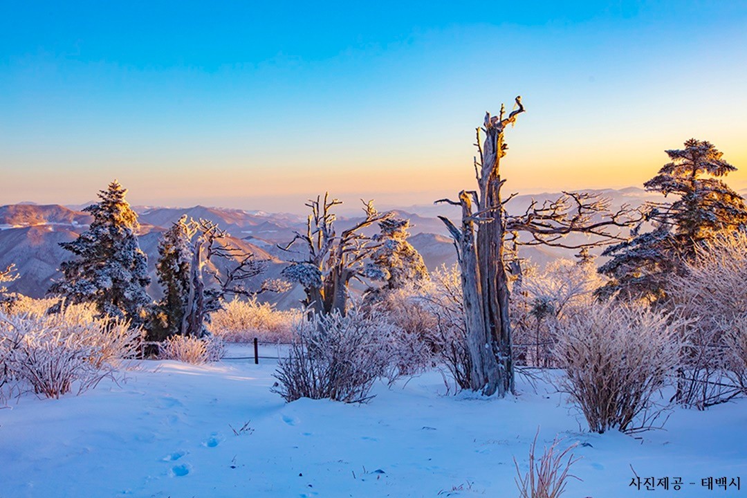 1월 산행지 추천: 눈산행지 좋은곳 겨울의 매력을 느낄 수 있는 산