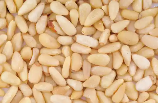 잣 효능효과 영양성분&amp;#44; 먹을 때 주의점