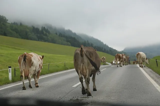 유니세프 후원 해지 방법 절차와 고객센터 정보 안내_8