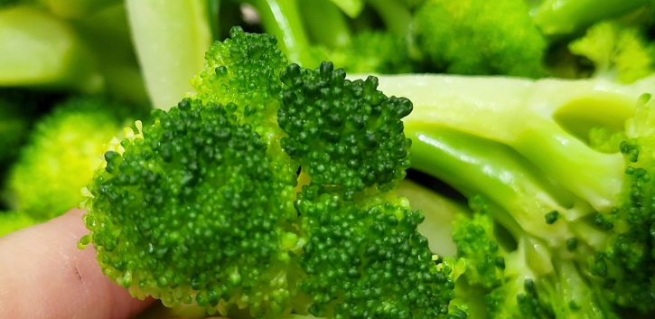 브로콜리 1
