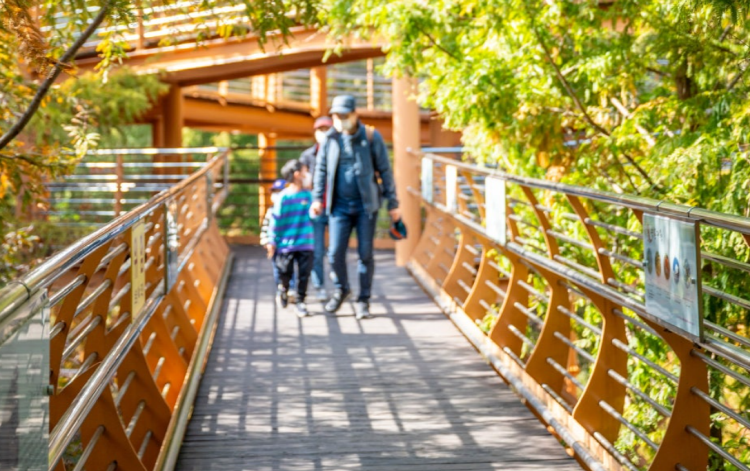 장태산 자연휴양림