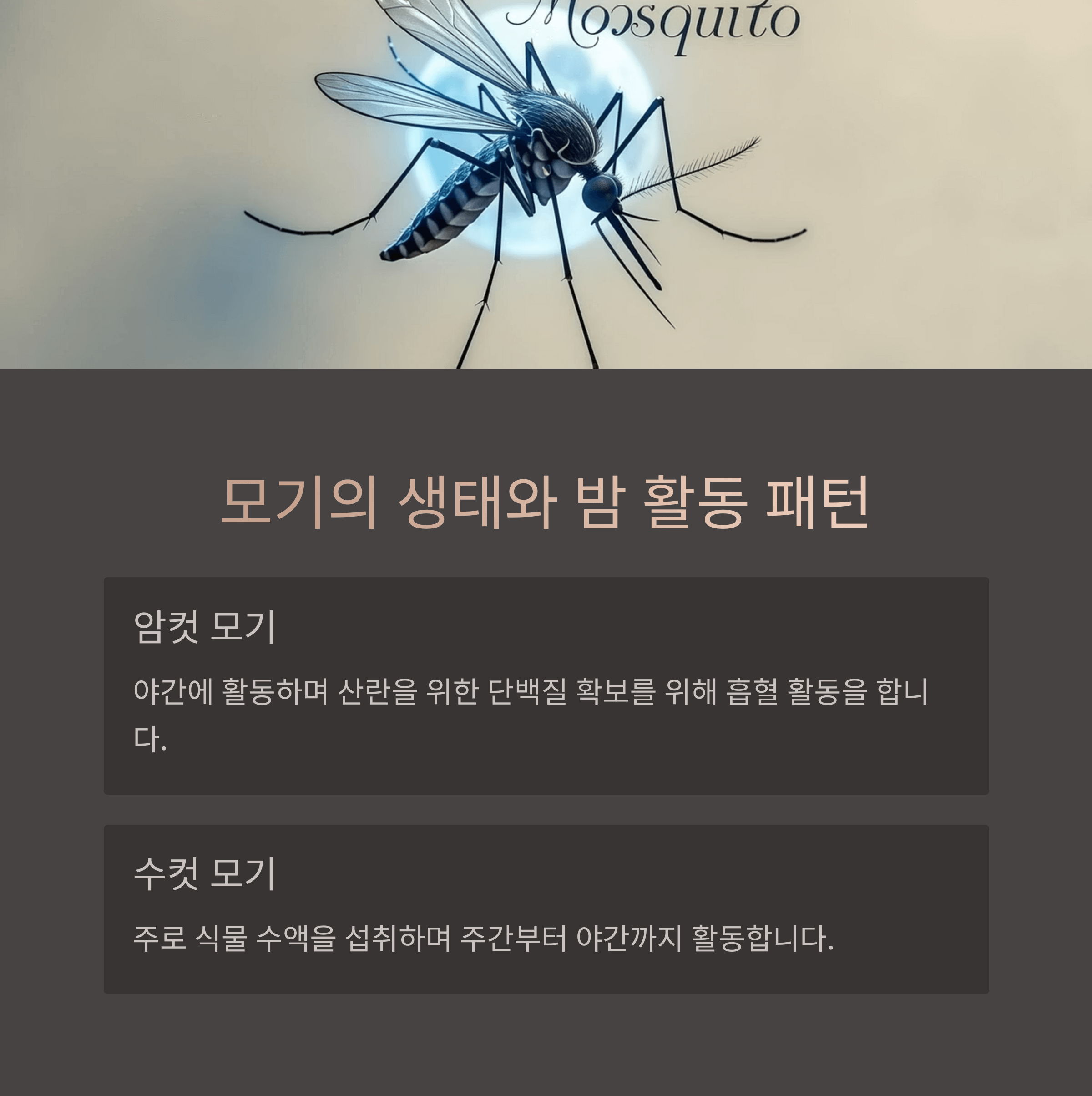 모기 소리에 잠 깨는 이유와 해결법