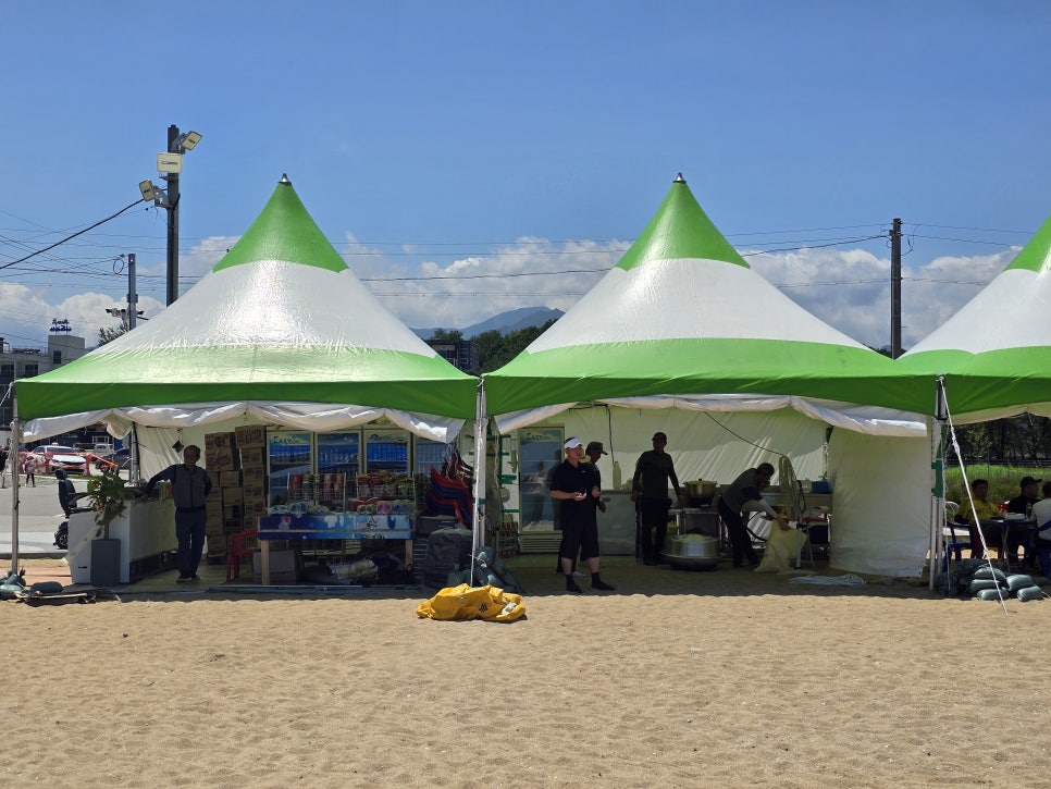 국내 해수욕장 개장일