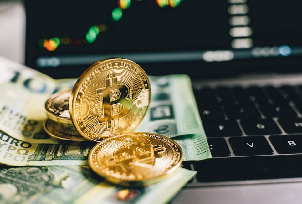 솔레이어 코인 전망 및 투자 정보 총정리