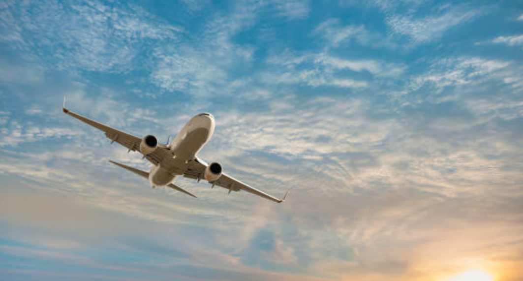 생태관광 장단점