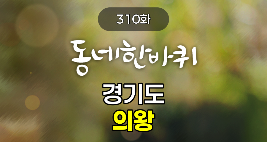 KBS 동네한바퀴 경기도 의왕 310화 2025년 3월 8일 맛집 식당 업체 촬영장소 촬영지 정보, 150년 종가 한옥 카페, 삐돌이 삐순이, 껌딱지 부부의 행복 쉼터, 한지가 장롱이 된다?! 근대 유물까지 복원하는 한지공예가, 진심이 닮았다, 우애 깊은 형제의 반점, 철도박물관에서 만난 대통령 전용기차, 그리고 전직 철도원 커피화가, 세종대왕 넷째 아들, 임영대군 18대손의 30년 보리밥 집, 외발자전거, 백운호수, 왕송호수, 도깨비시장