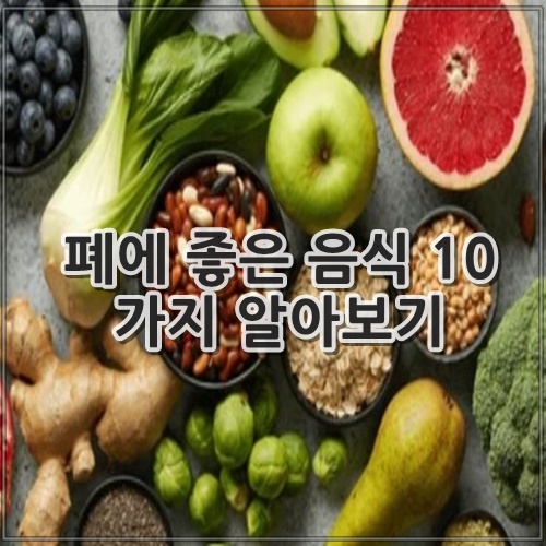 폐에 좋은 음식 10 가지 알아보기
