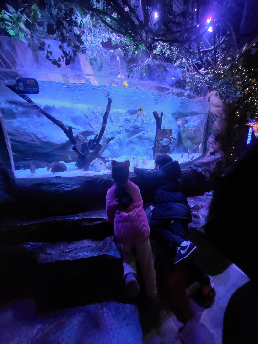 부산 아쿠아리움