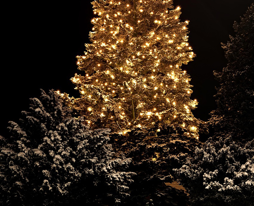 함평 겨울빛축제
