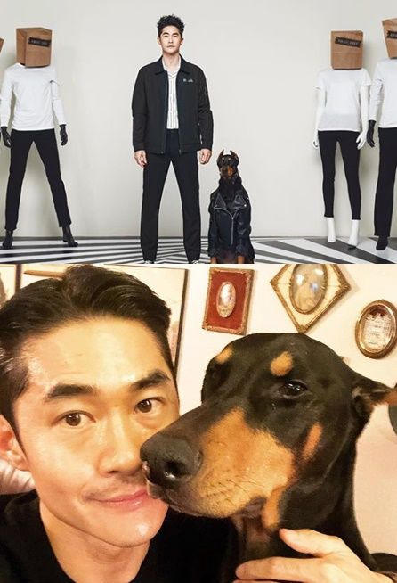 배정남 벨 반려견