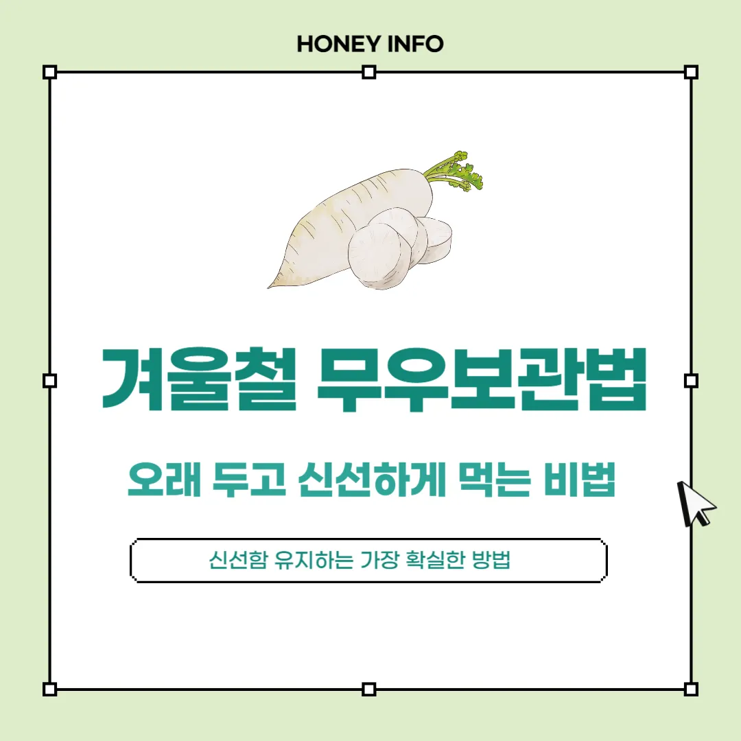 겨울철 무우보관법