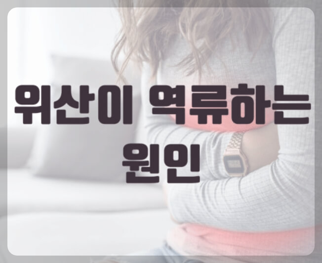 위산 역류하는 원인