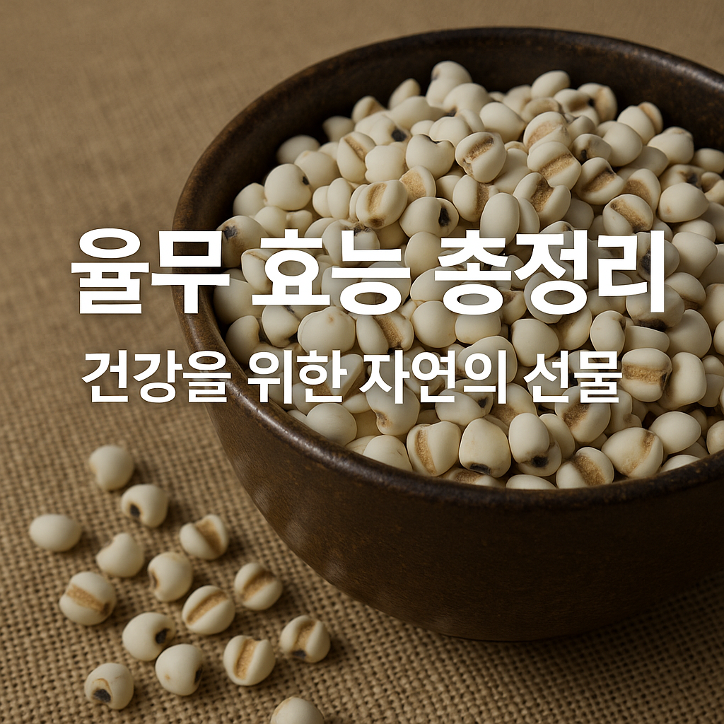 율무 효능