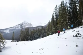 캐나다 여행하기 좋은 계절 여행지 선물 추천_24
