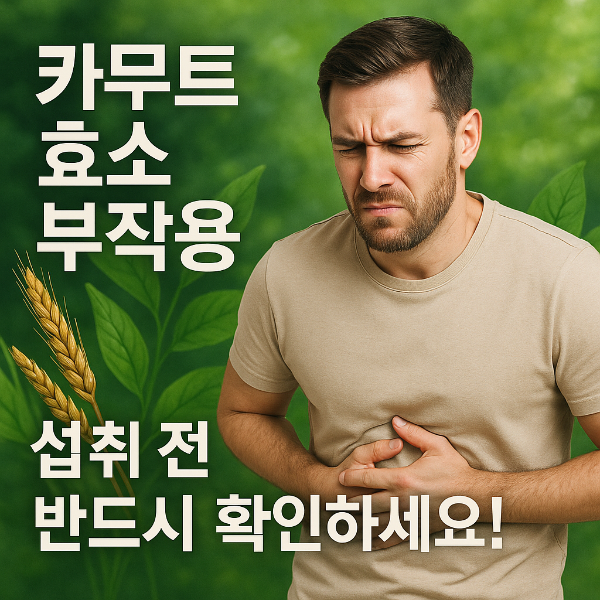 카무트효소 부작용 썸네일 이미지입니다.